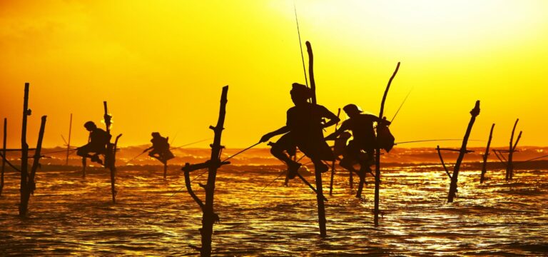 Discover Sri Lanka Tour