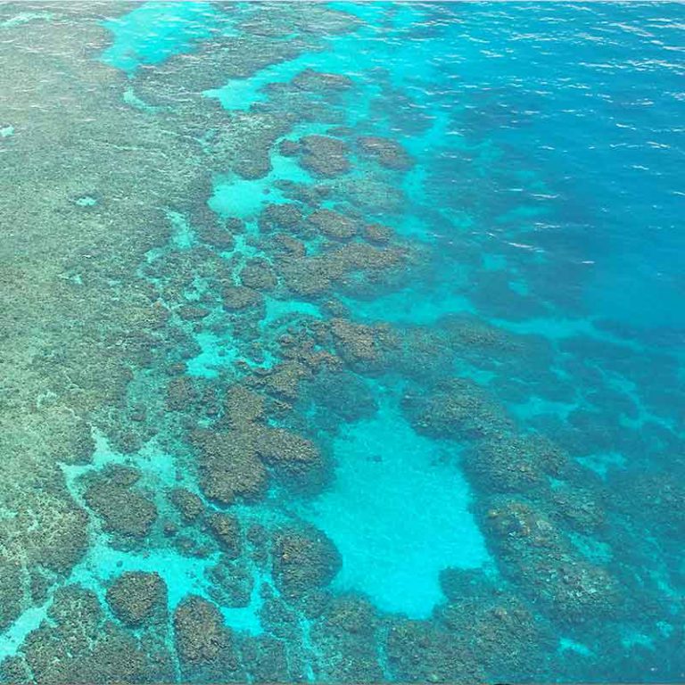 13 Day Australian Highlights Escorted Tour