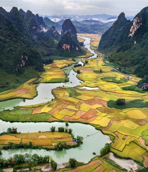 essence vietnam cambodia