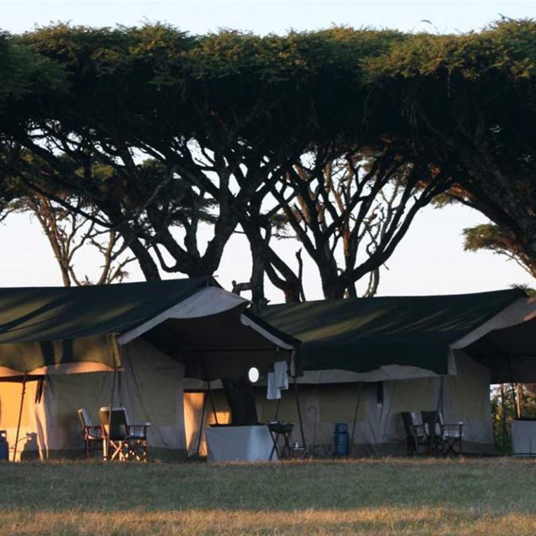 Small Group Tour. Tanzania. Kilimanjaro, Serengeti, Zanzibar