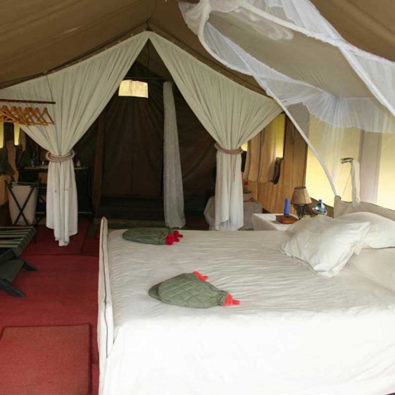 Small Group Tour. Tanzania. Kilimanjaro, Serengeti, Zanzibar