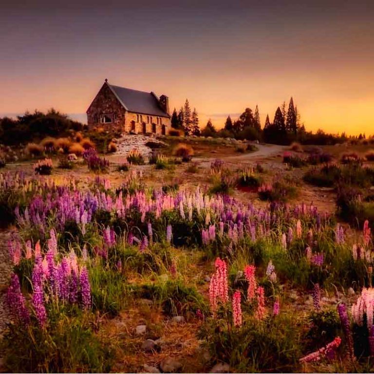 16 Day New Zealand Gateway Escorted Tour.