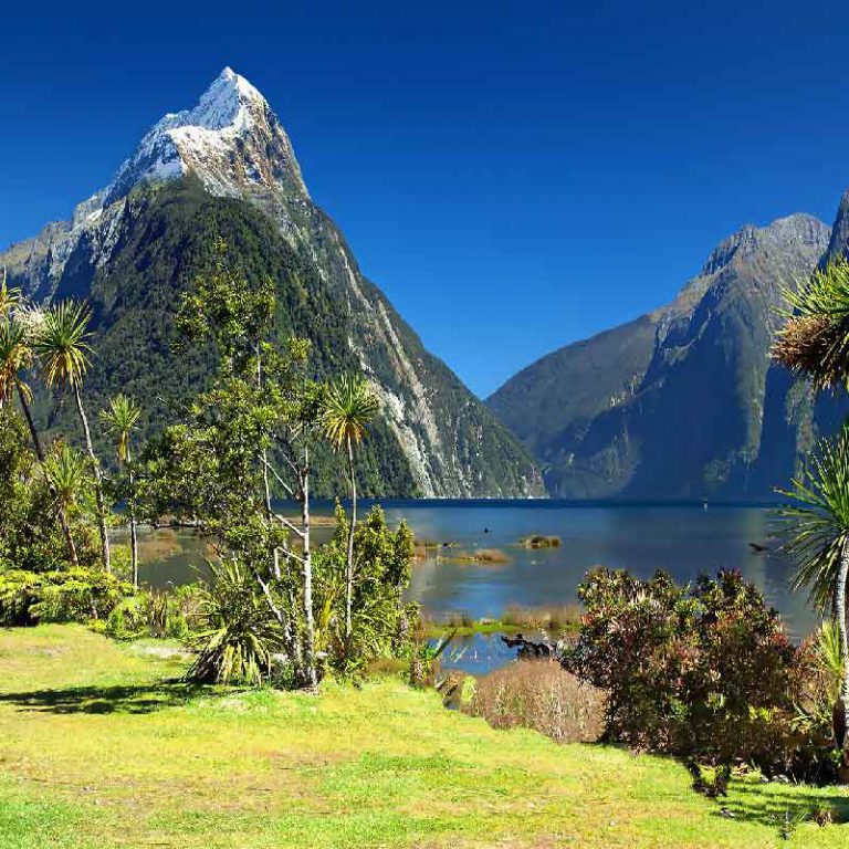 16 Day New Zealand Gateway Escorted Tour.