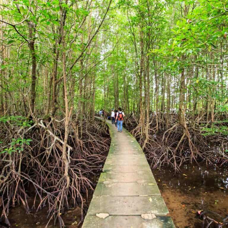 8 Day Boutique Asia, Cambodia Experience