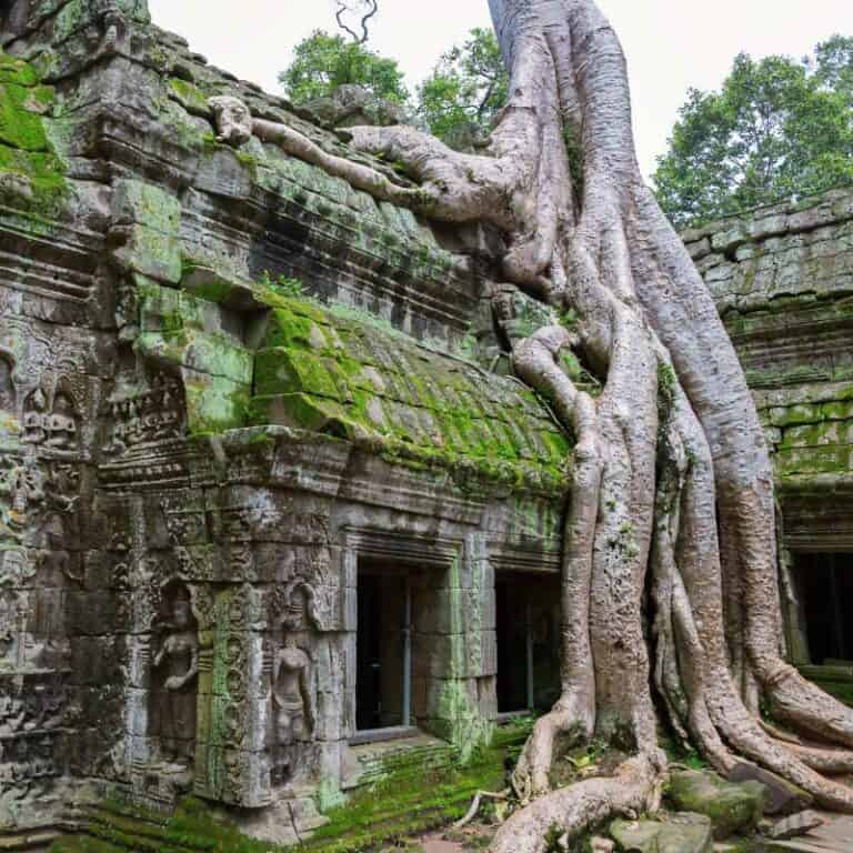 8 Day Boutique Asia, Cambodia Experience