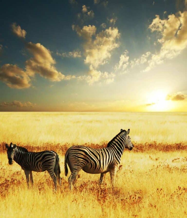 Grand Tour of South Africa