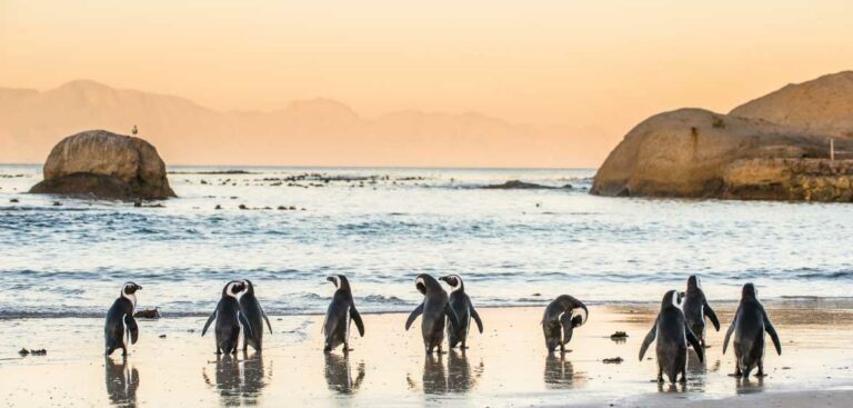 Grand Tour of South Africa