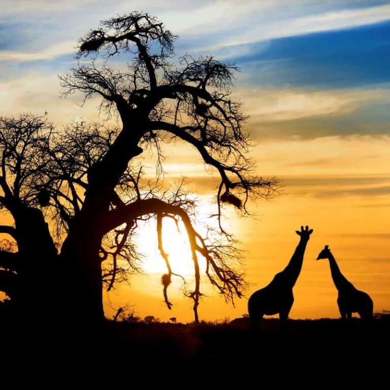 Grand Tour of South Africa