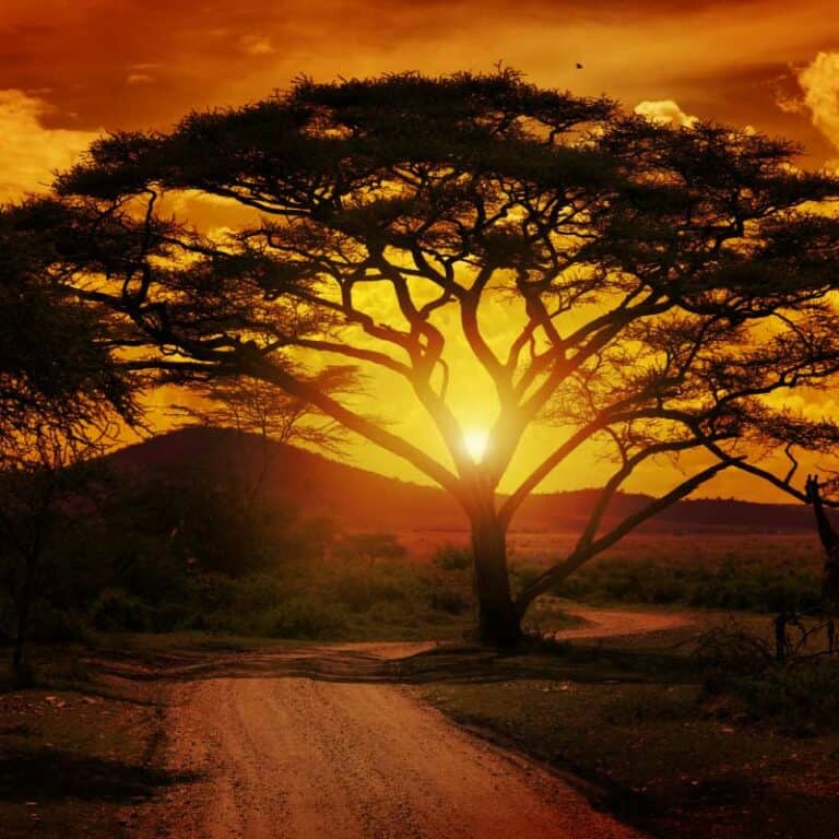 Grand Tour of South Africa