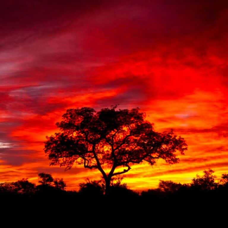 Grand Tour of South Africa