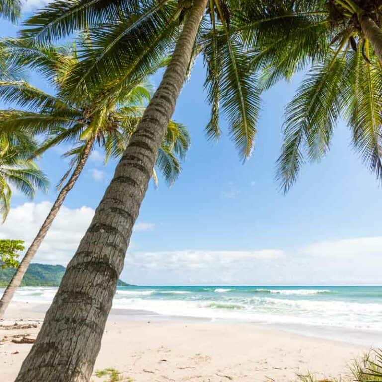 Natural Wonders of Costa Rica