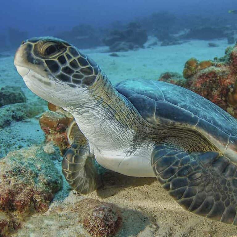 Natural Wonders of Costa Rica