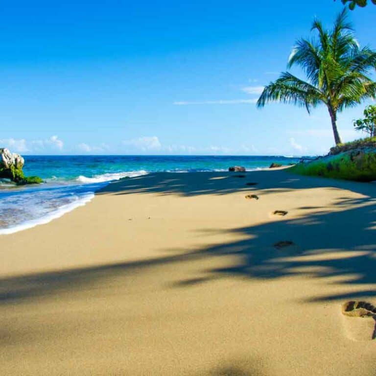 Natural Wonders of Costa Rica