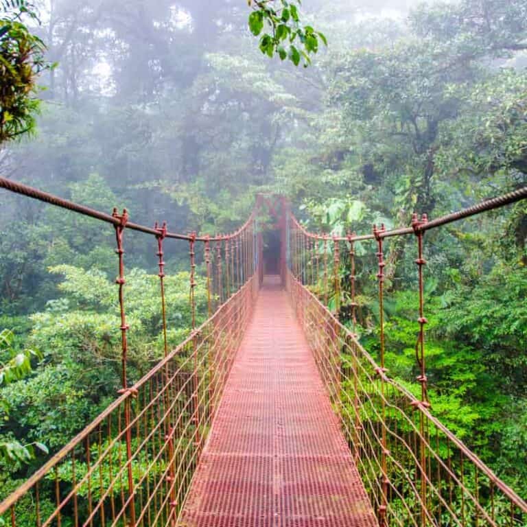 Natural Wonders of Costa Rica
