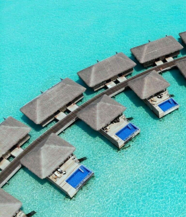 Adventure in Sri Lanka then look for Harmony in Maldives