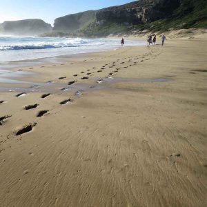 The Garden Route, South Africa, Holidays guide