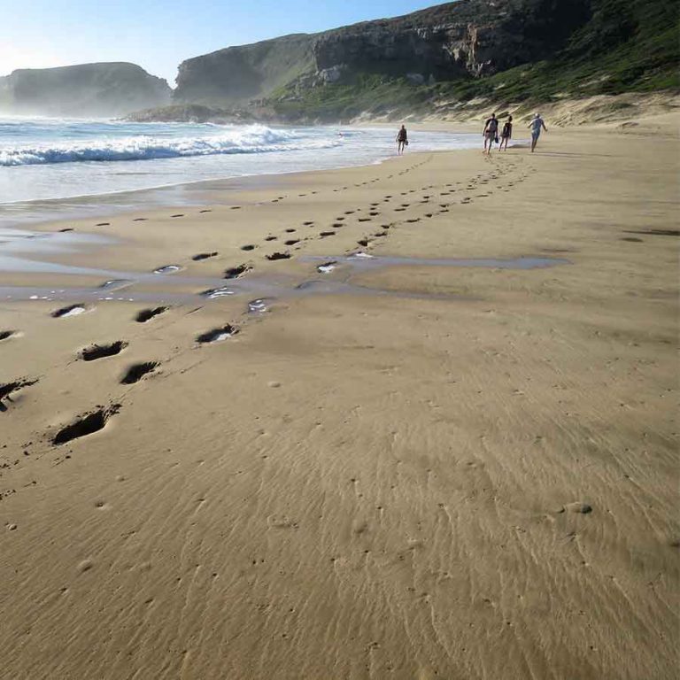 The Garden Route