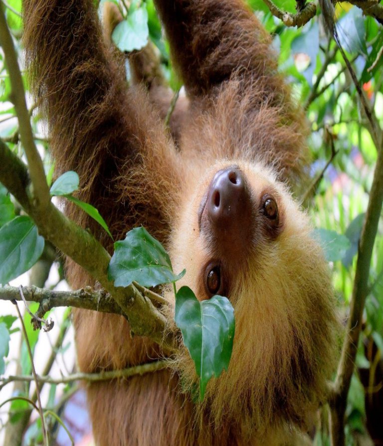 9 Day Spirit of Costa Rica