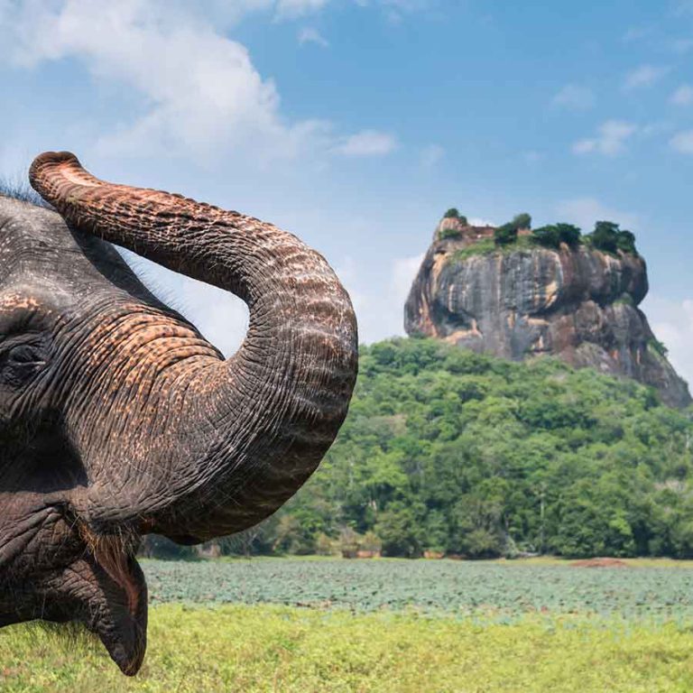Sigiriya