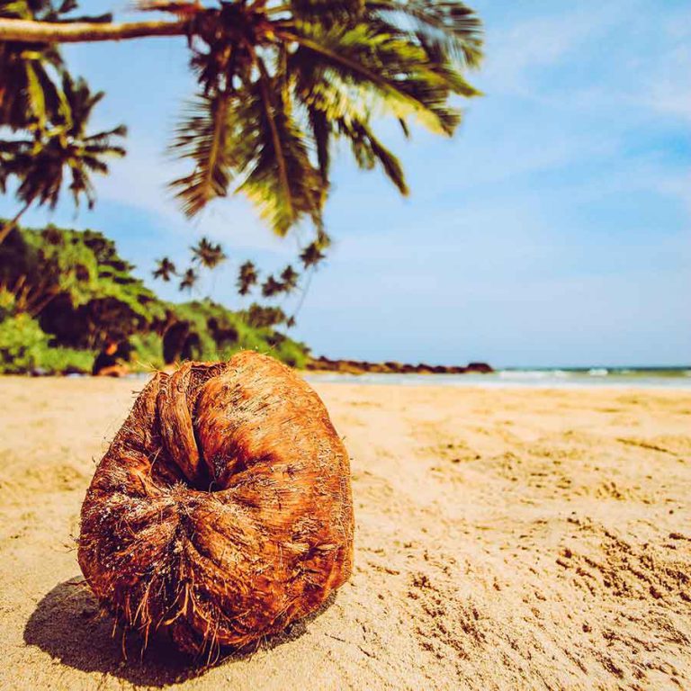 Beach holidays in Sri Lanka