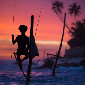 Sri Lanka Holiday Ideas
