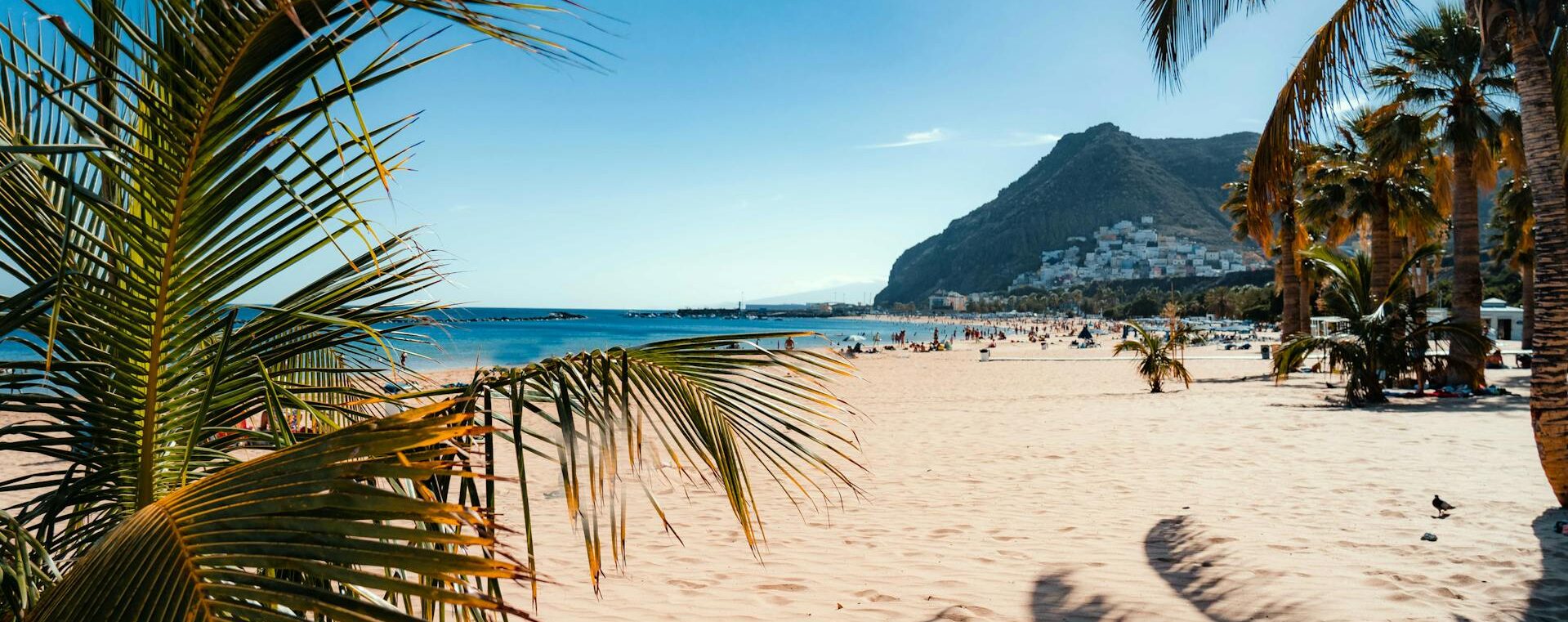 Canary Islands holiday offers