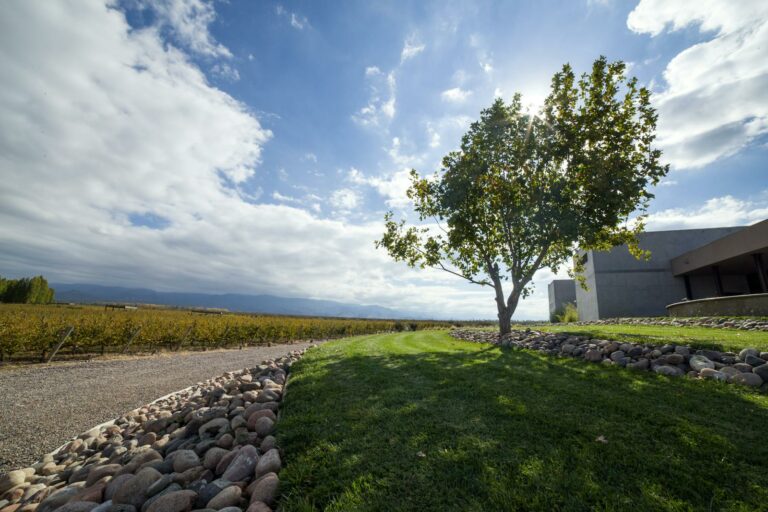Mendoza & Wine Country