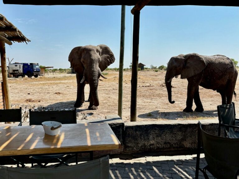 Safari camps