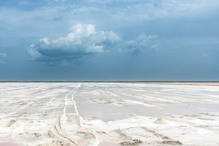 Kalahari & Makgadikgadi