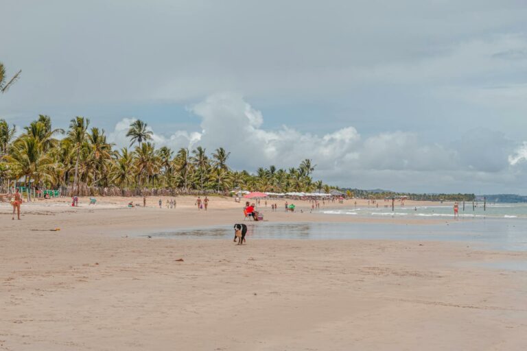 Bahia — Trancoso & Praia do Forte