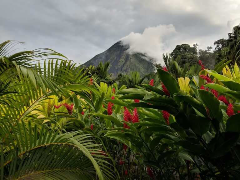 La Fortuna