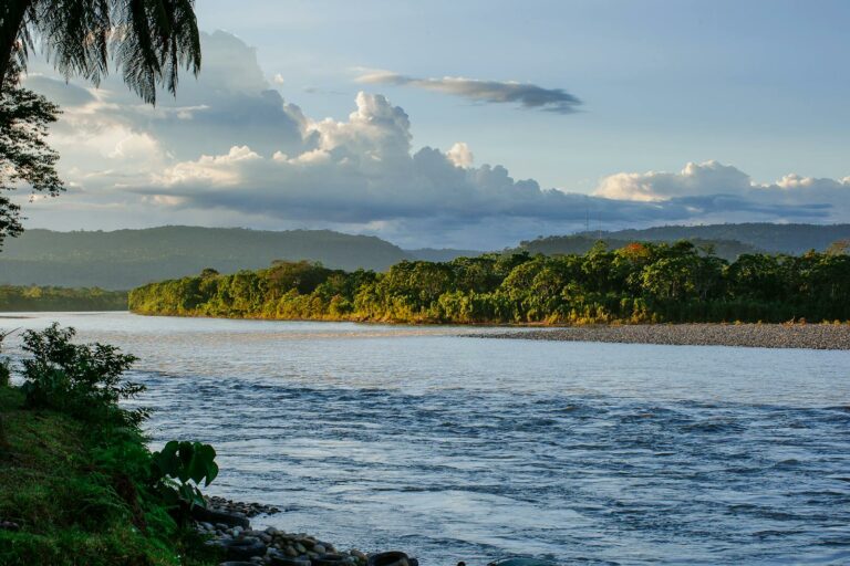 Amazon Basin