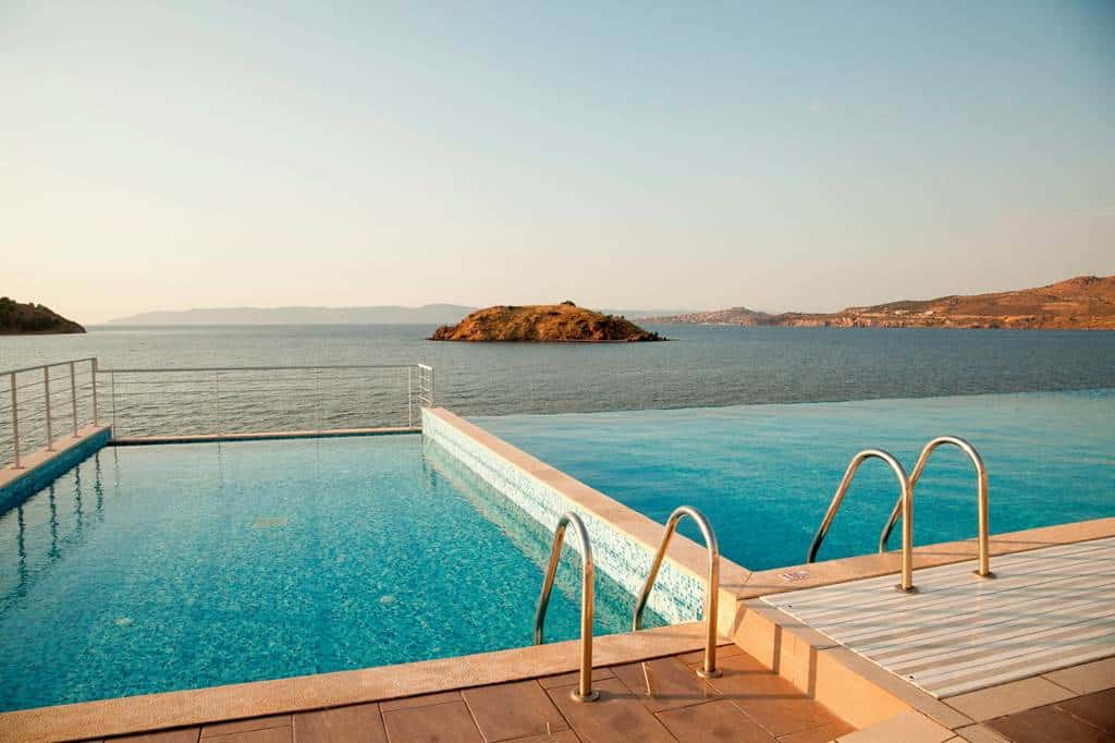 Little_Bird_Lesvos