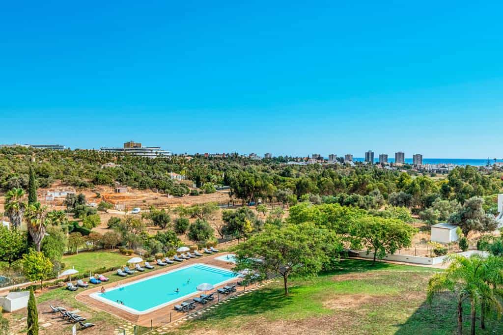 Pelican_Alvor