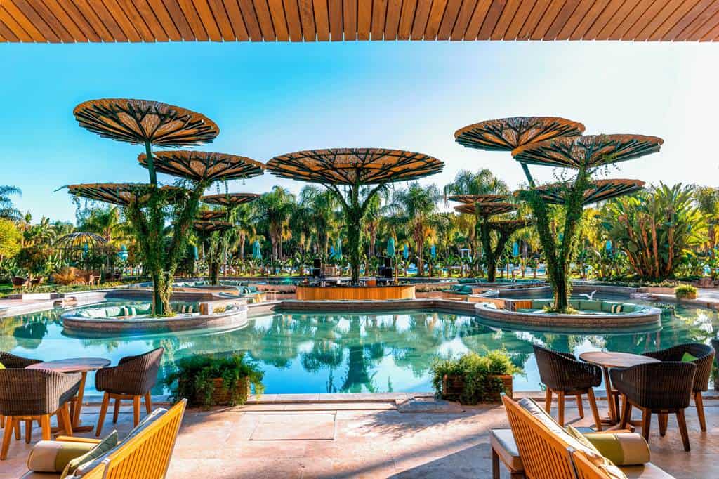 Regnum_Carya