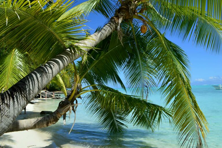 Bora Bora & Society Islands