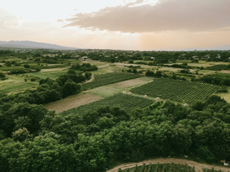 Kakheti Wine Country