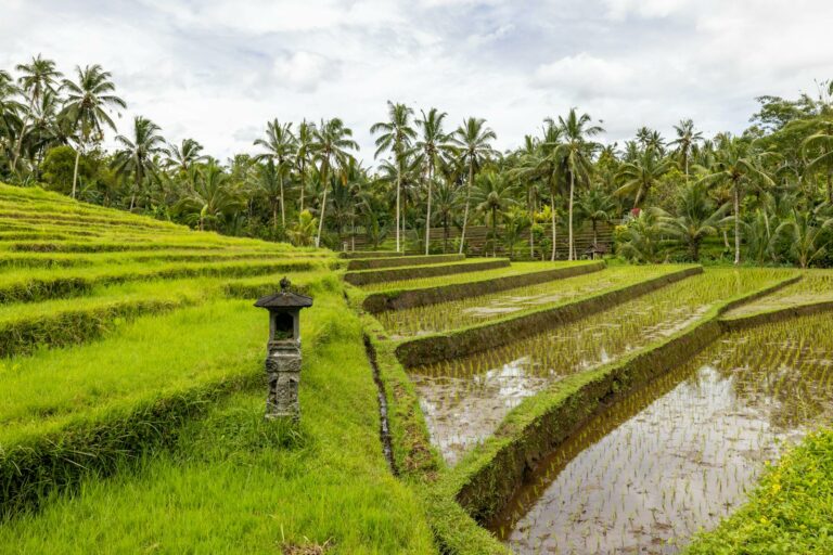 Bali