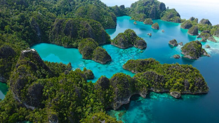 Raja Ampat & West Papua