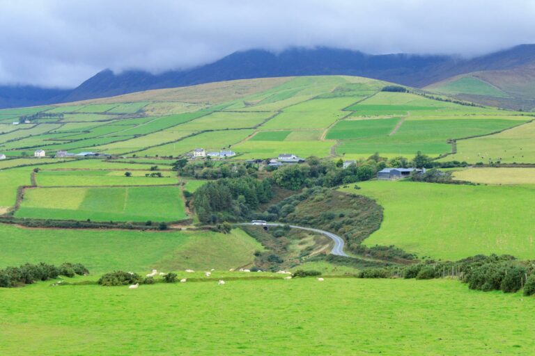 Ring of Kerry & Killarney