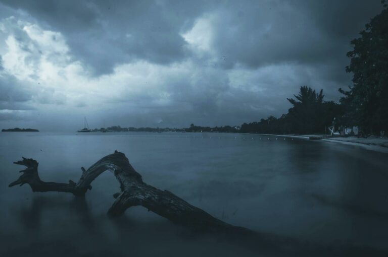 Negril & West