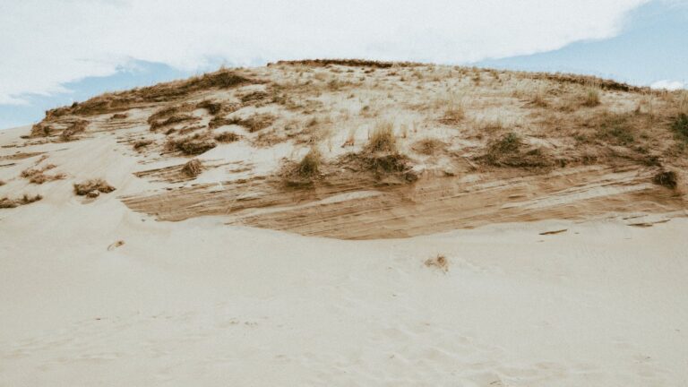 Coast & Curonian Spit