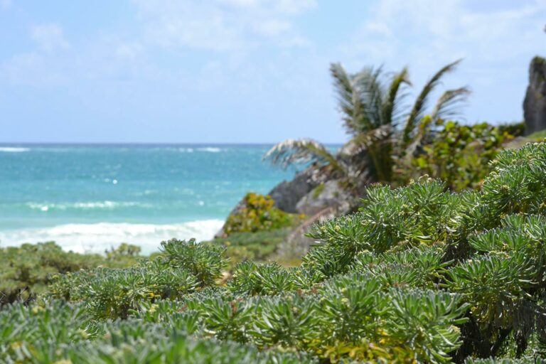 Yucatán & Riviera Maya
