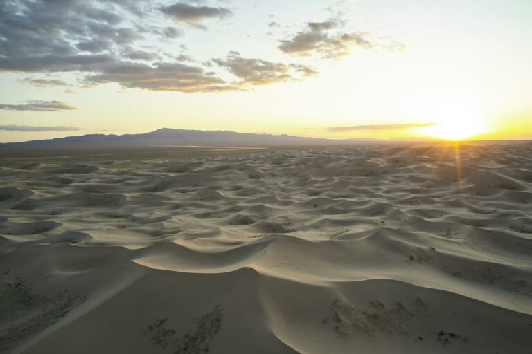 Gobi Desert
