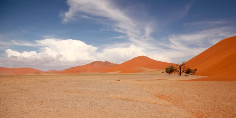 Sossusvlei & Namib Desert