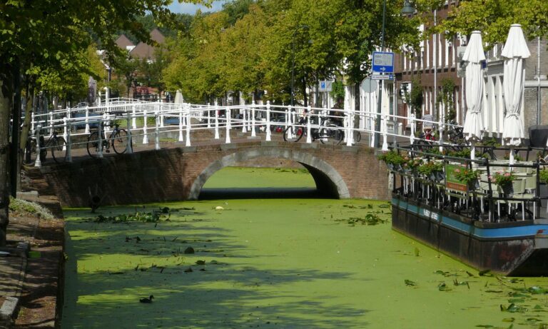Delft, The Hague & Rotterdam