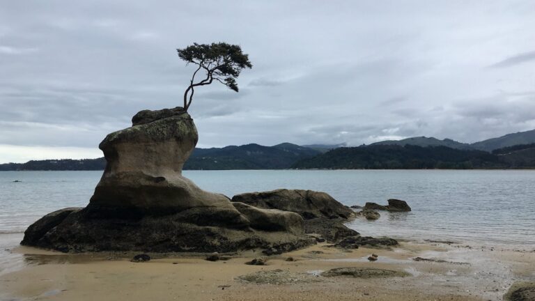Abel Tasman National Park