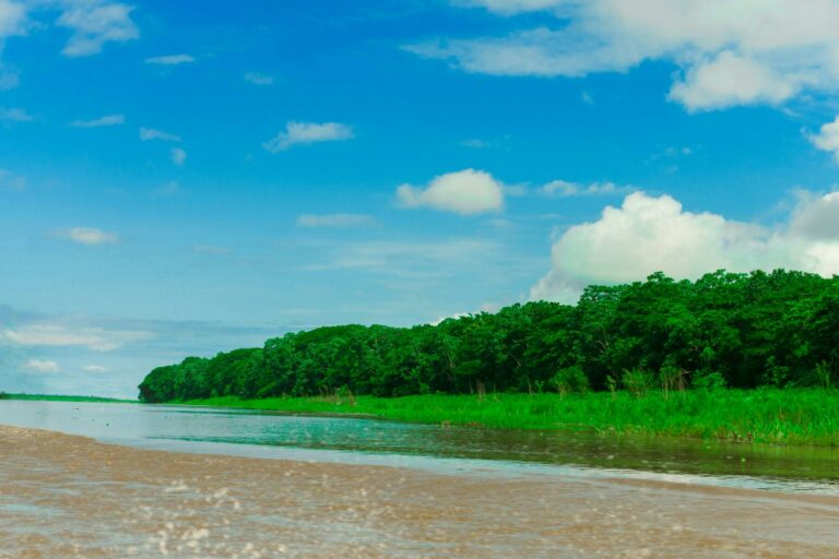 The Peruvian Amazon