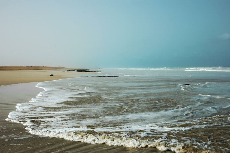 Atlantic Coast