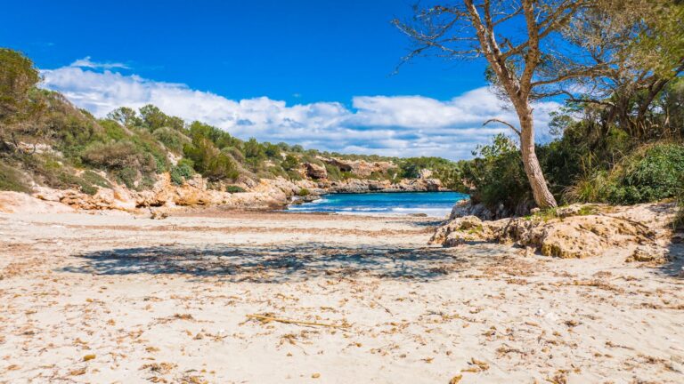 Balearic Islands